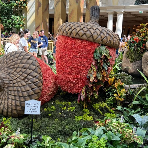 Las Vegas Aritzia - Picture 10 of 13